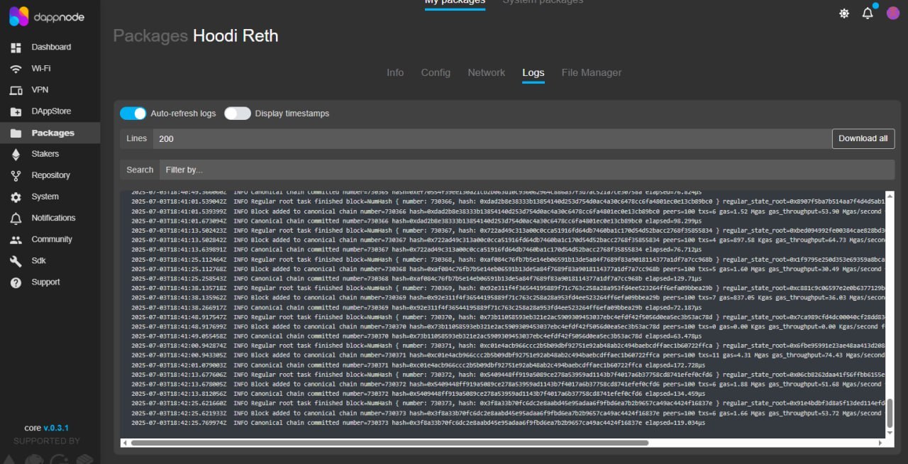Logs de Reth mostrando bloques siendo procesados